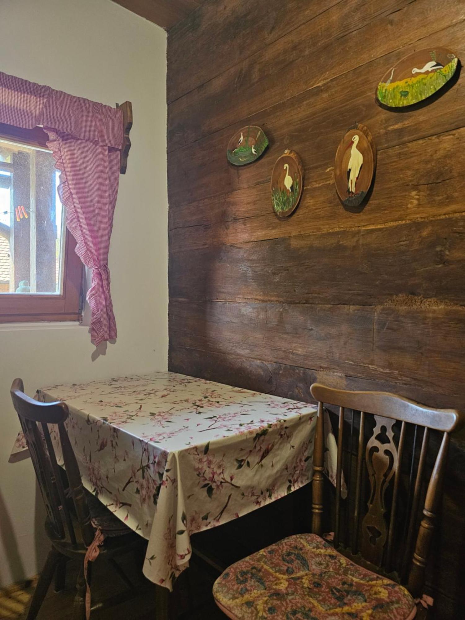 Čigoč Apartments Kuvarna מראה חיצוני תמונה