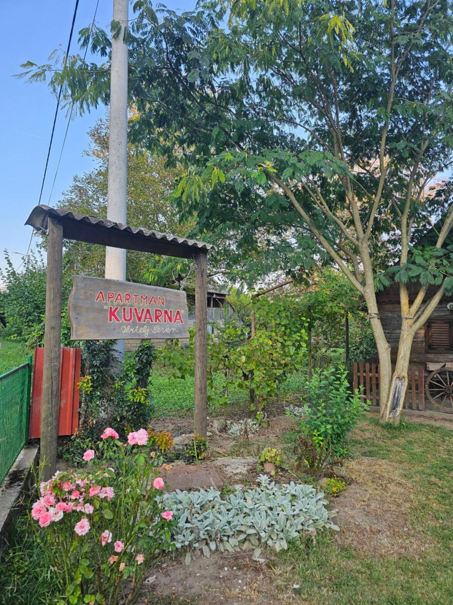 Čigoč Apartments Kuvarna מראה חיצוני תמונה